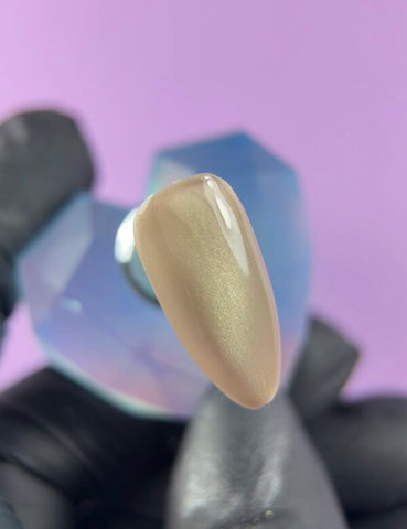 Jelly Gelly Champagne Silk Magnetic Gel Polish (12ml) [GGP13]